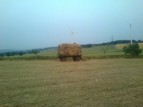 foto0391