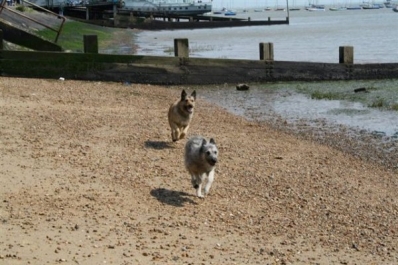 on-the-beach