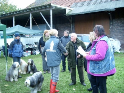 scheld-gratuliert