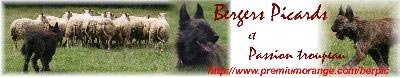 090_berpic