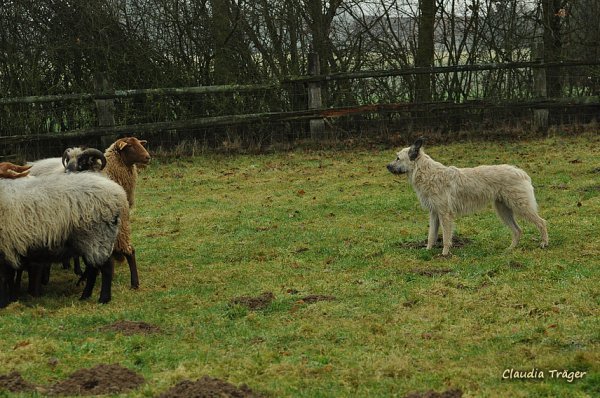 dsc_7126 dsc_7126