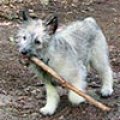 050_c_pic_6790