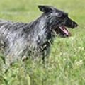 050_r_pic_298